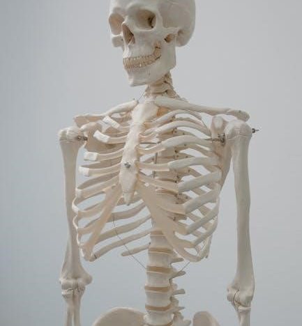 calligraphy worksheets pdf