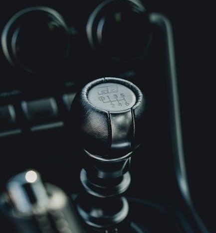 archaeology guide cata classic