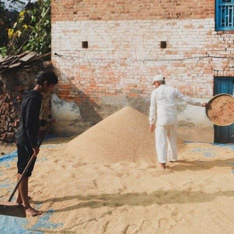 mike lucas bore guide